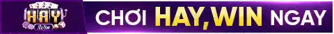 top banner